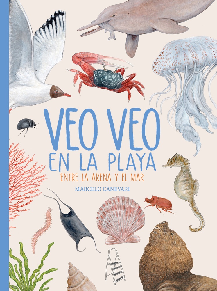 Veo Veo en la Playa. Entre la arena y el mar