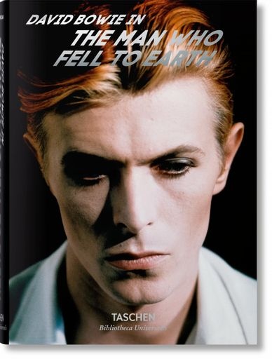 David Bowie. The man who fell to earth