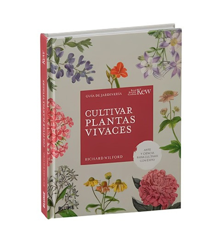 Cultivar plantas vivaces