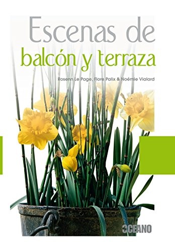 Escenas de balcon y terraza