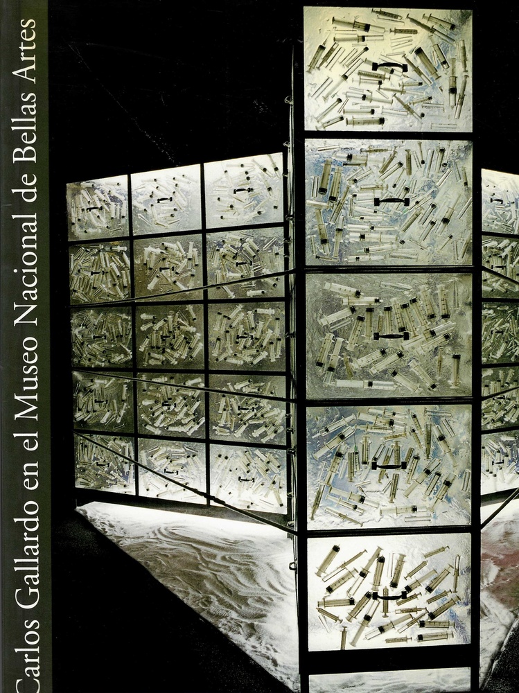 Carlos Gallardo en el Museo Nacional de Bellas Artes