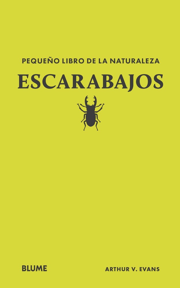 Escarabajos