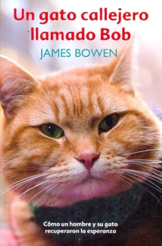 Un gato callejero llamado Bob