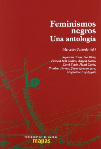 Feminismos negros - una antología
