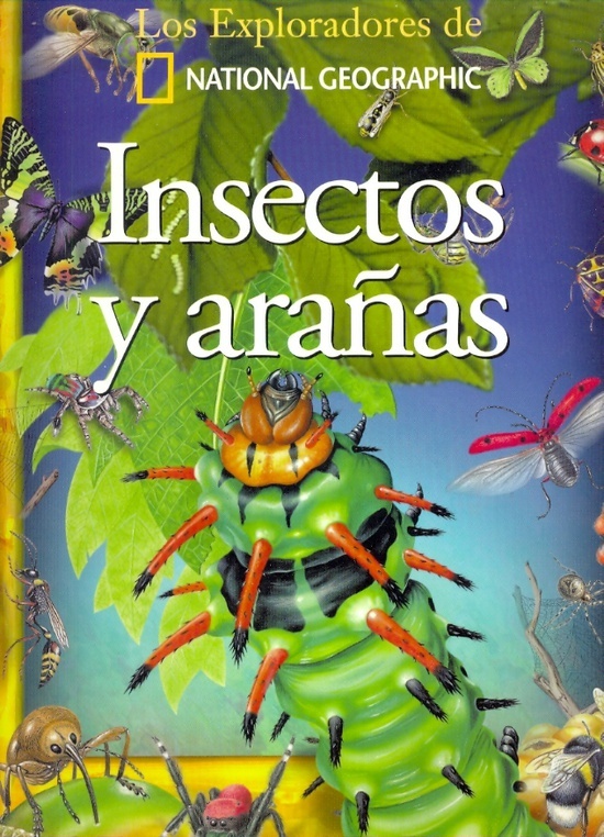 Insectos y arañas