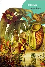 Piacenza 2 da edicion