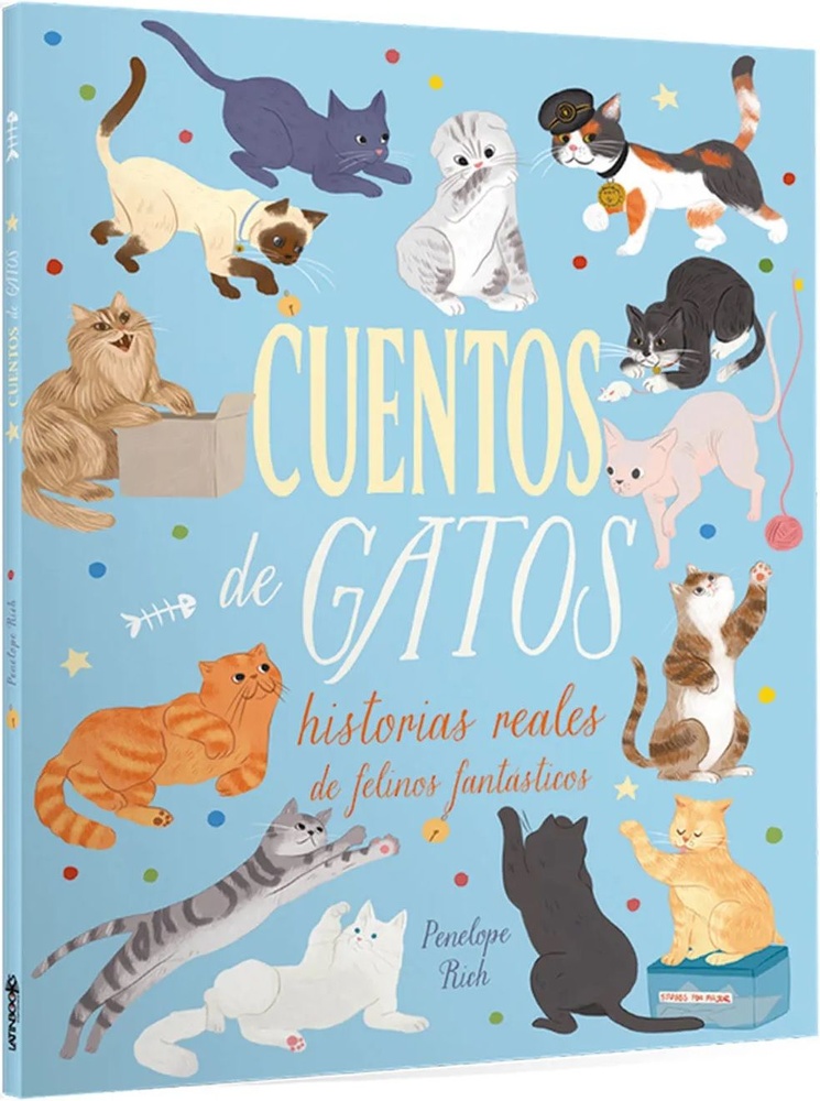 Cuentos de gatos historias reales de felinos fantásticos