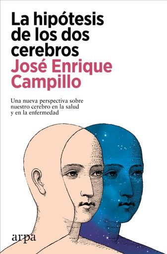 La hipótesis de los dos cerebros