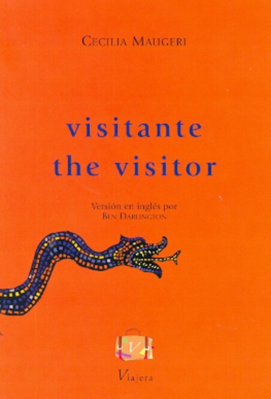Visitante / The visitor