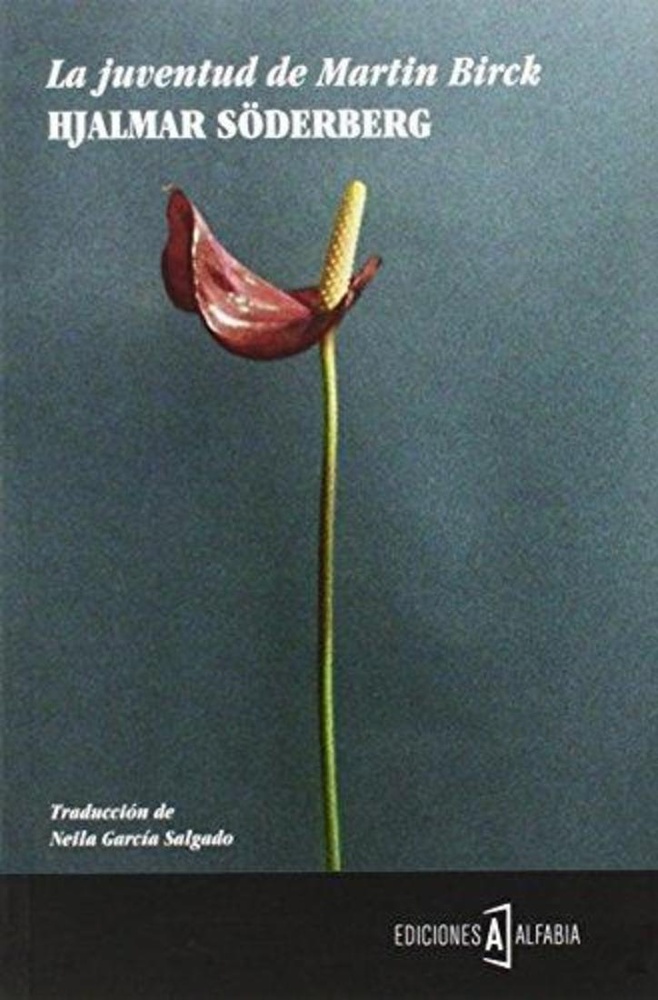 La juventud de Martin Birck