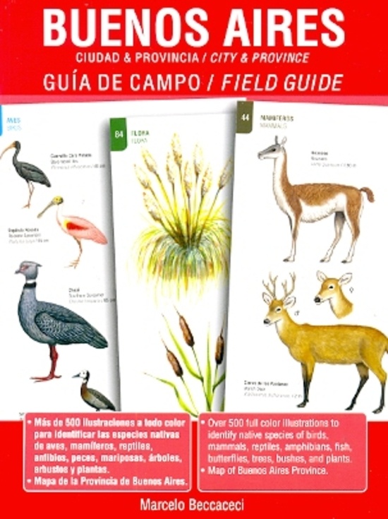 Buenos Aires. Ciudad &provincia. City & province