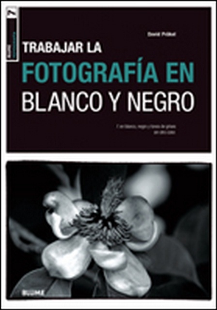 Trabajar la fotografia en blanco y negro