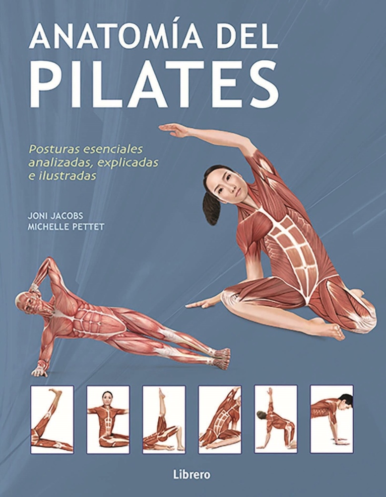 Anatomia del pilates