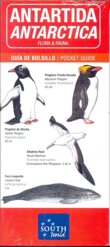 Antartida - Flora & Fauna (Bilingue)