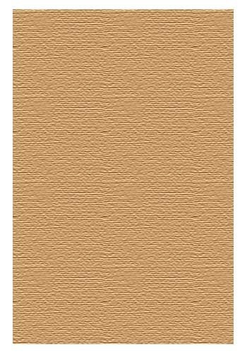 la Dictadura de Bolivar