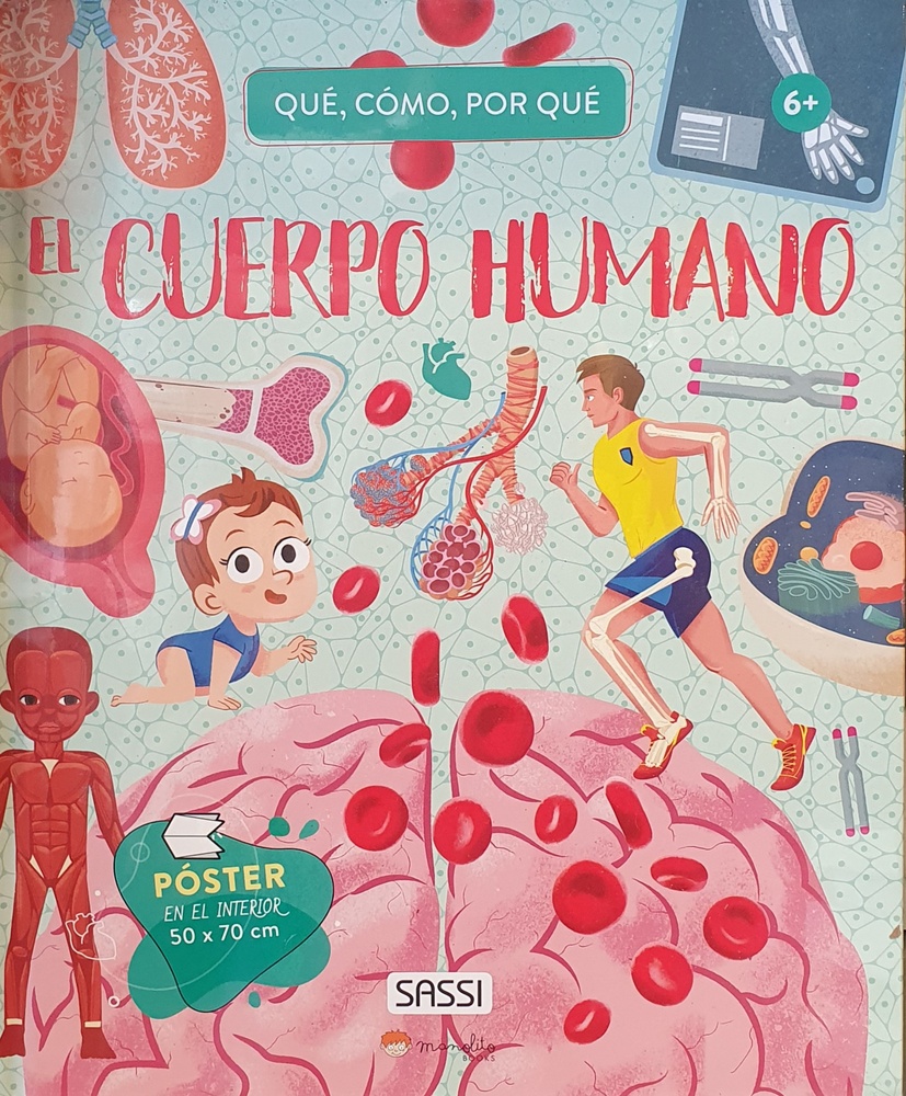 Cuerpo humano