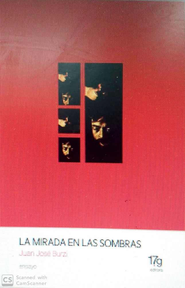 La Mirada en las sombras