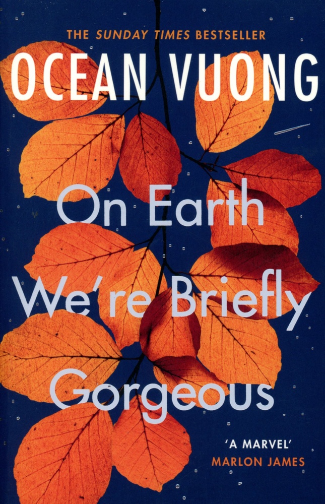 On earth we're briefly gorgeous