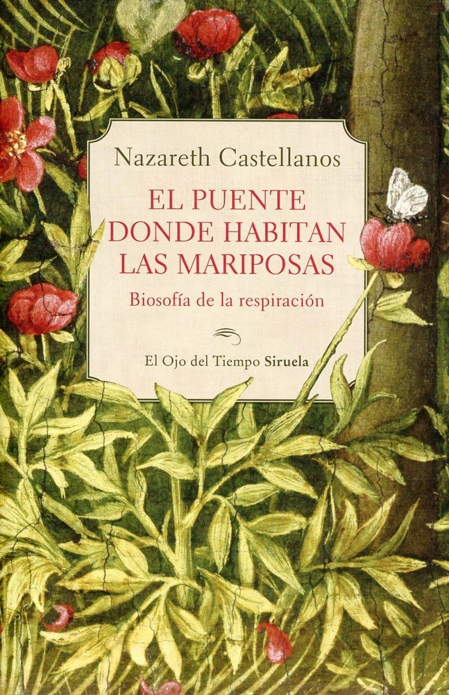 El puente donde habitan las mariposas