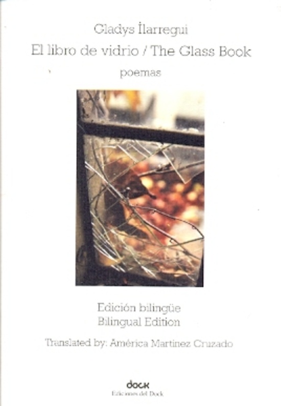 Libro de vidrio, El / The Glass Book