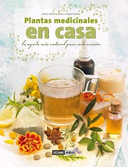 Plantas medicinales en casa