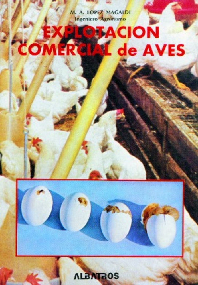 Explotación comercial de aves