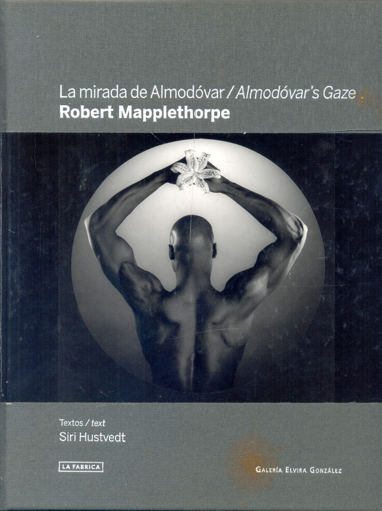 la Mirada de Almodovar