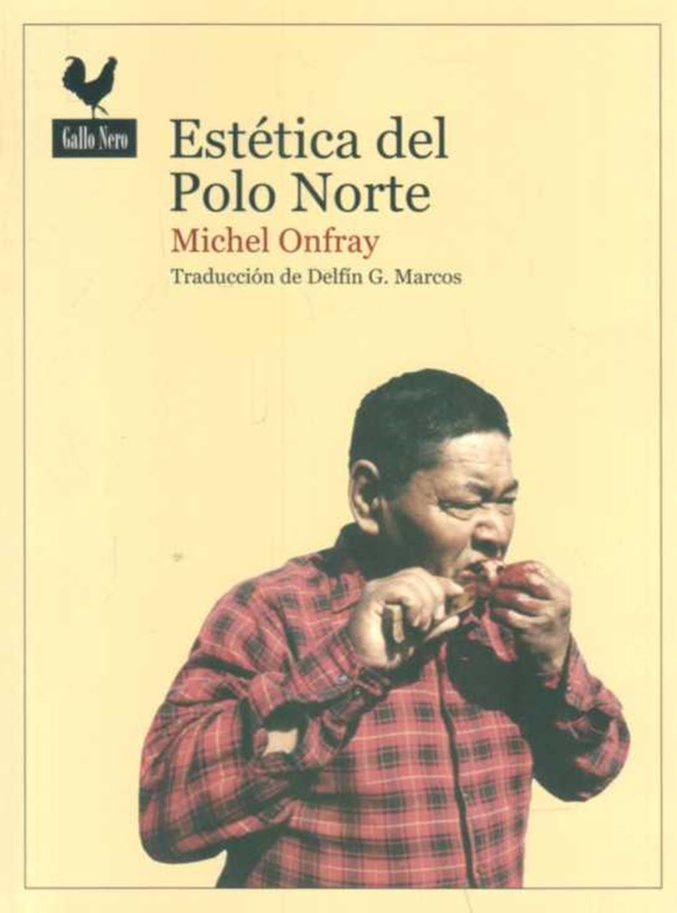 Estetica del Polo Norte