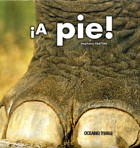 A pie