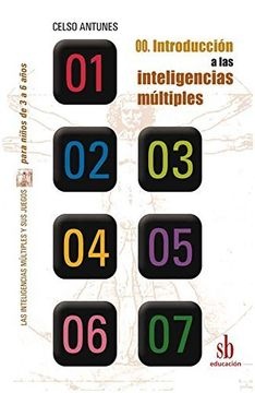 Introduccion a las inteligencias multiples