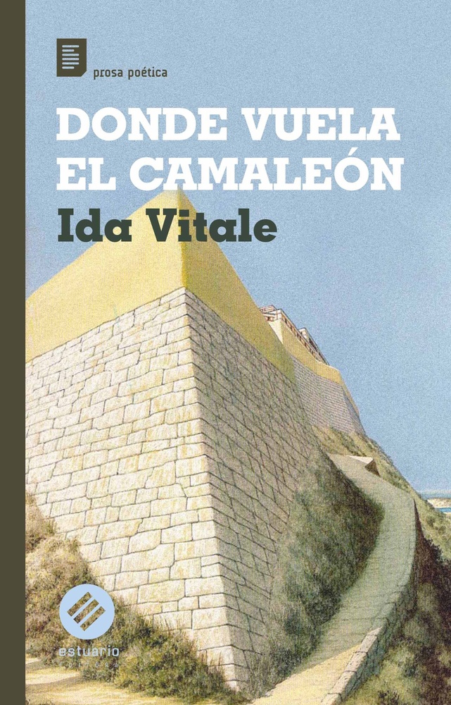 Donde vuela el camaleón