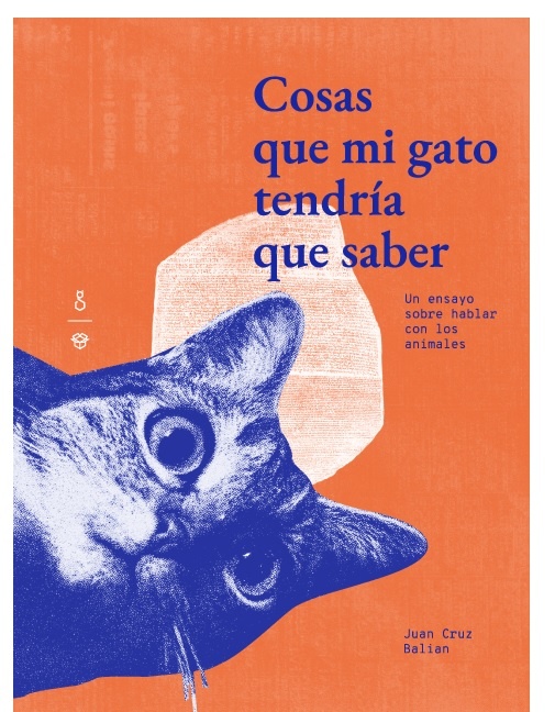 Cosas que mi gato tendría que saber