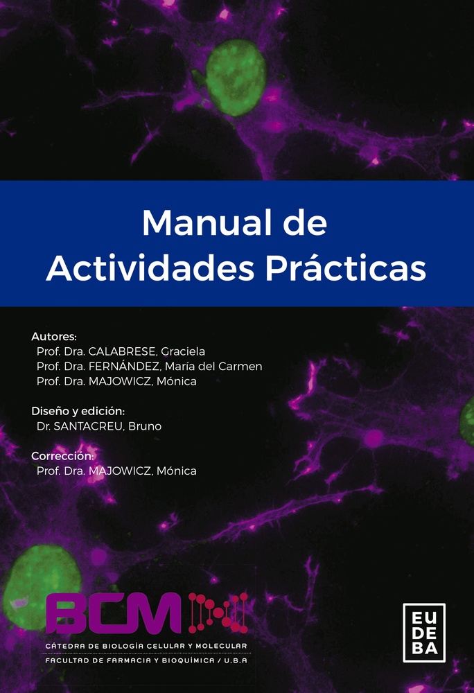 Manual de actividades practicas-bcm-2ºedic.