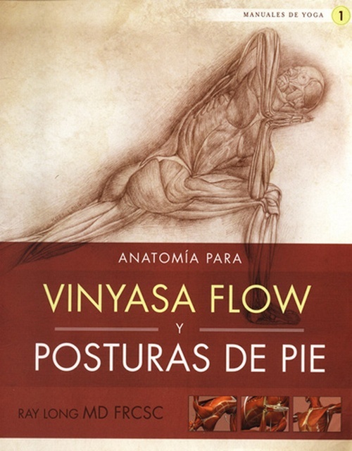 Anatomia para vinyasa flow y posturas de pie