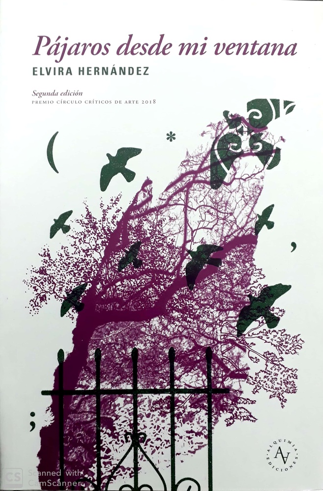 Pajaros desde mi ventana