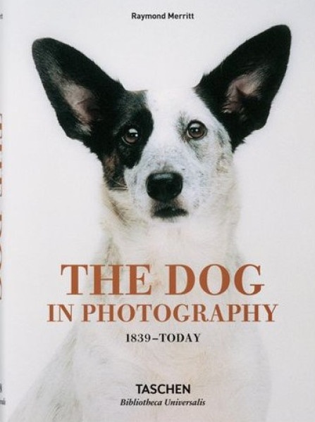 The Dog in Photography