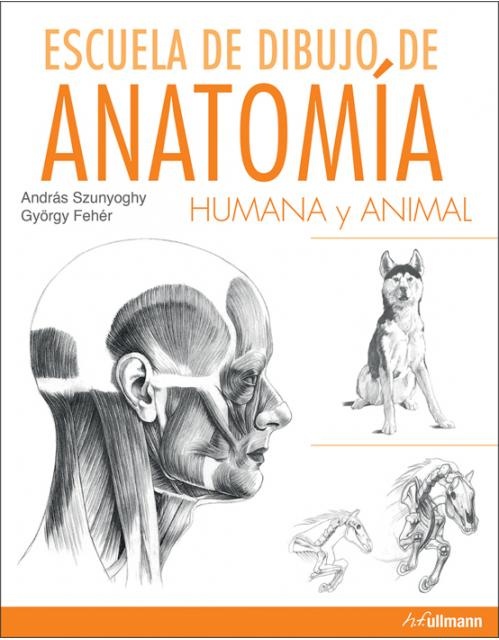 Escuela de dibujo de anatomia humana y animal