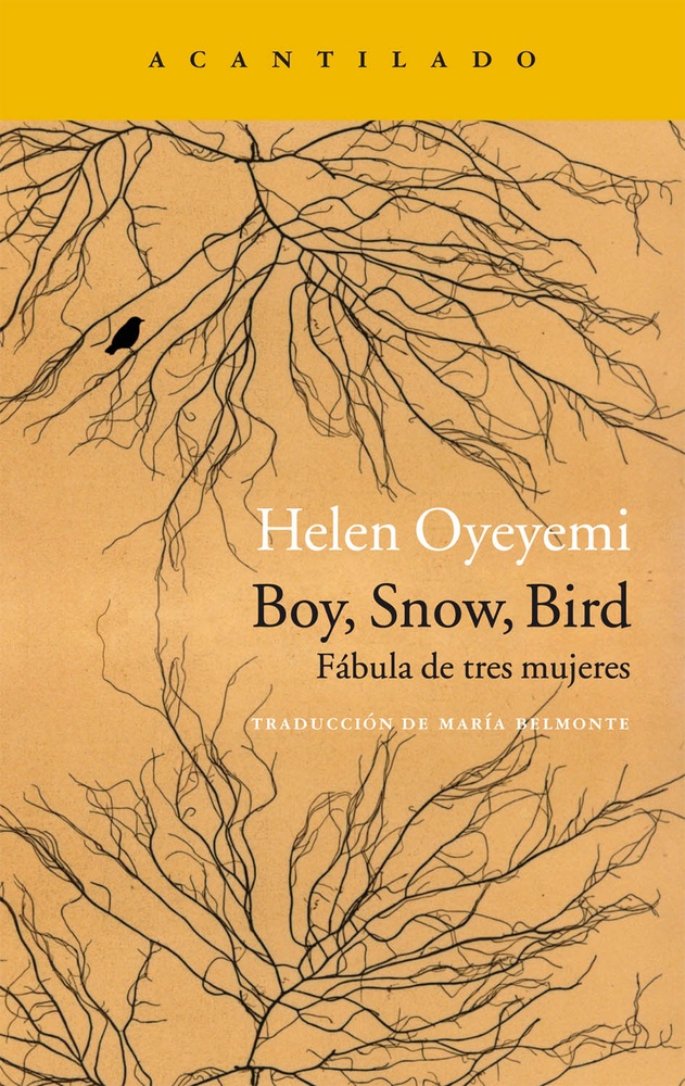 Boy, snow, bird