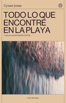 Todo lo que encontré en la playa