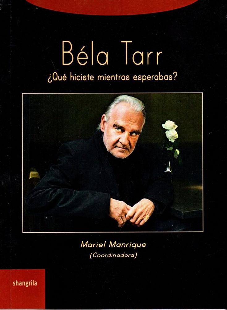 Bela Tarr ¿Que hiciste mientras esperabas?
