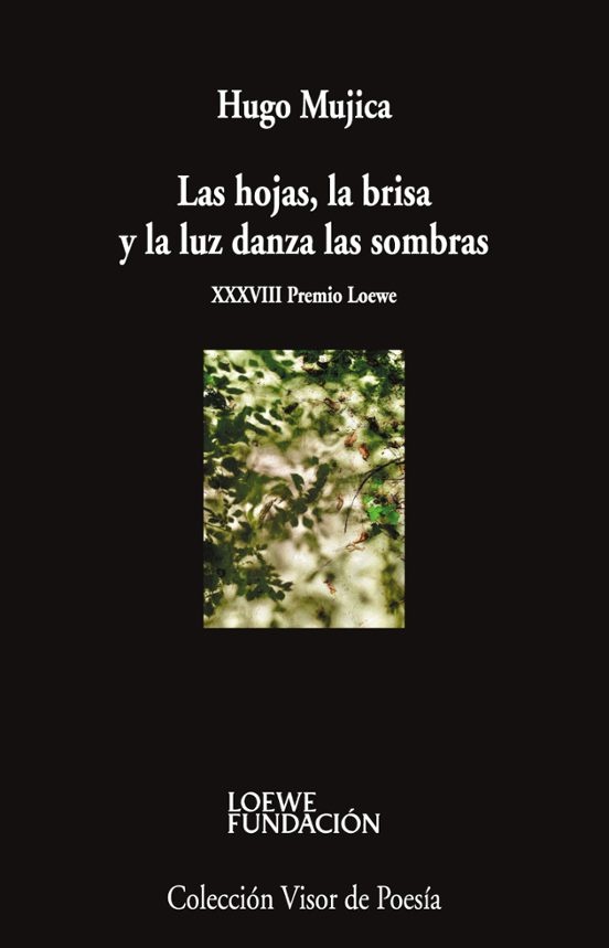 Las hojas, la brisa y la luz danza en las sombras