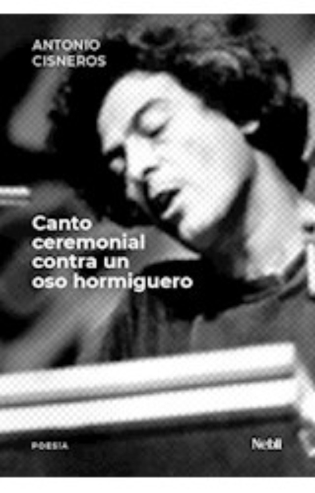 Canto ceremonial contra un oso hormiguero