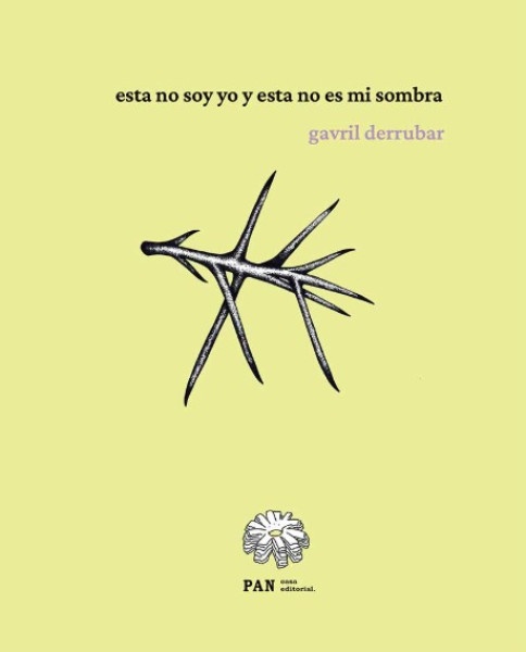 Esta no soy yo y esta no es mi sombra