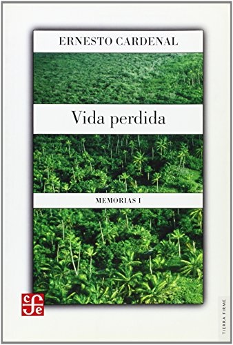 Vida perdida