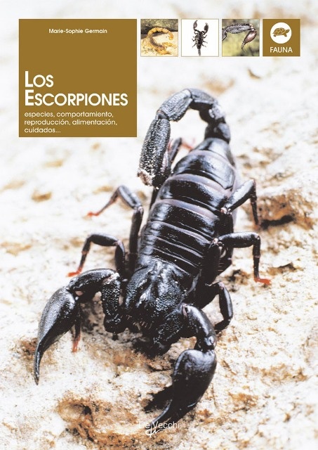 Escorpiones Especies, Comportamiento