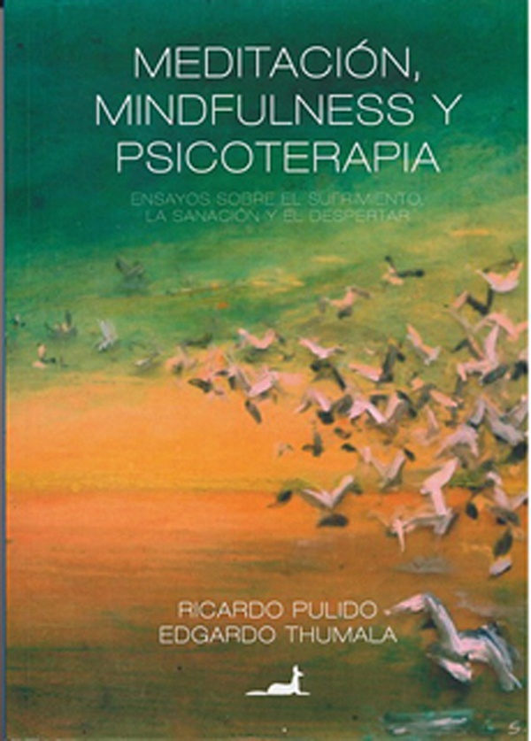 MEDITACION MINDFULNESS Y PSICOTERAPIA