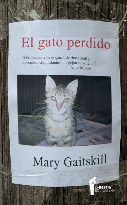 El gato perdido