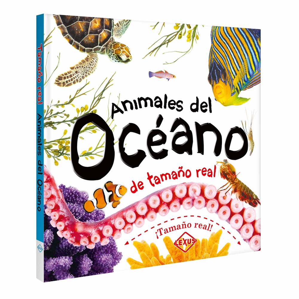 Animales del oceano de tamaño real
