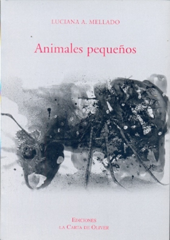 Animales pequeños