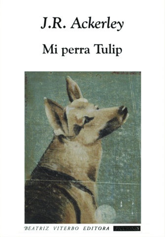 Mi perra Tulip